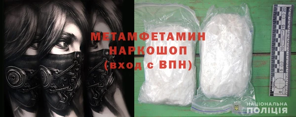 хмурый Пересвет