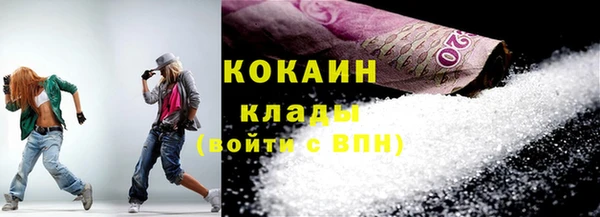 хмурый Пересвет
