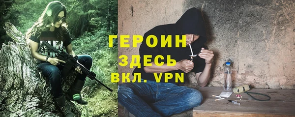 хмурый Пересвет