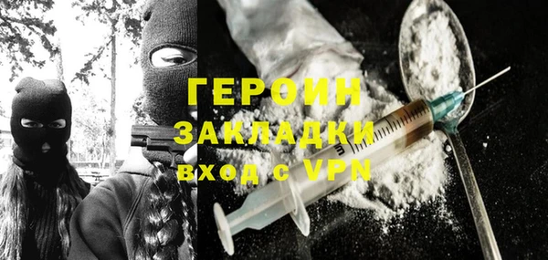 хмурый Пересвет