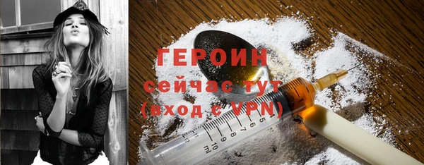 хмурый Пересвет