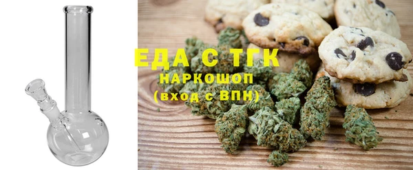 хмурый Пересвет
