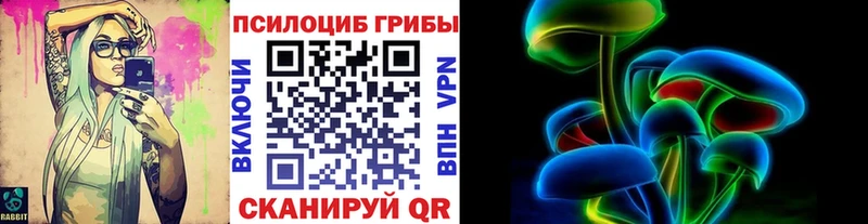 Псилоцибиновые грибы Cubensis  Струнино 